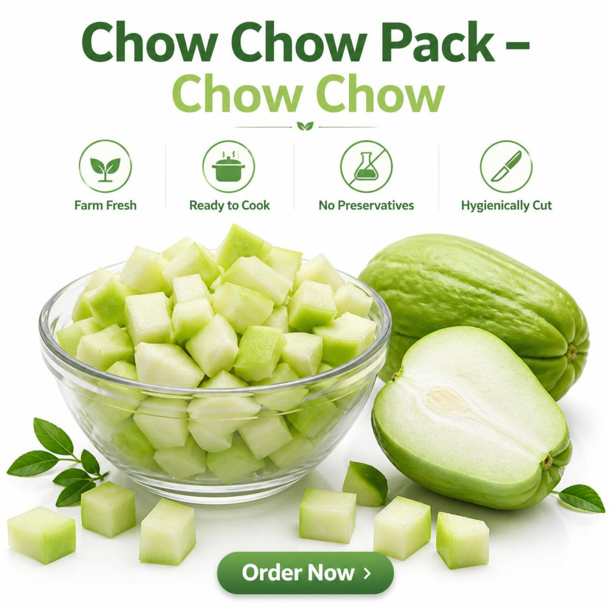 Chow Chow