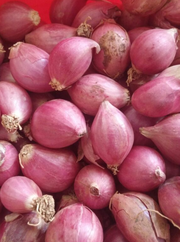 Small Onion