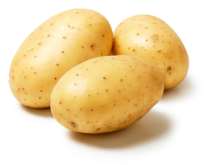 Potato